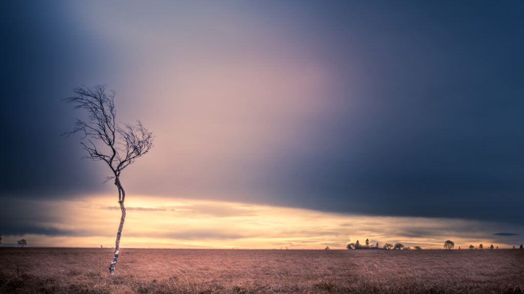 Solitude