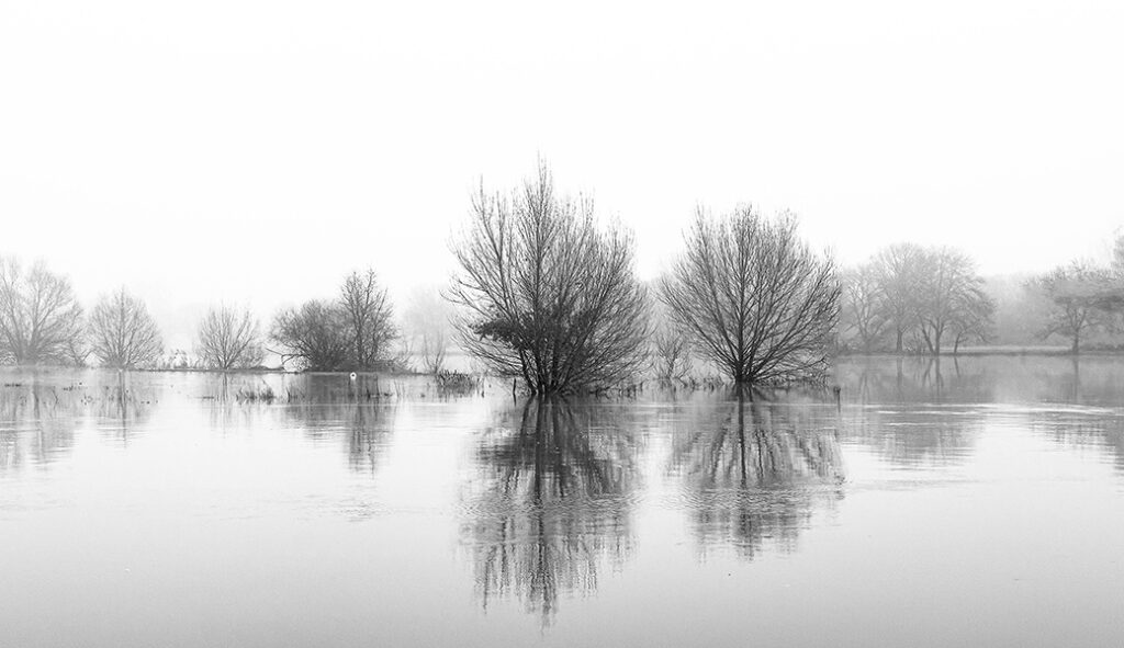 Reflets en noir et blanc