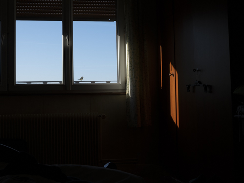 Réveil dans la chambre de mon enfance