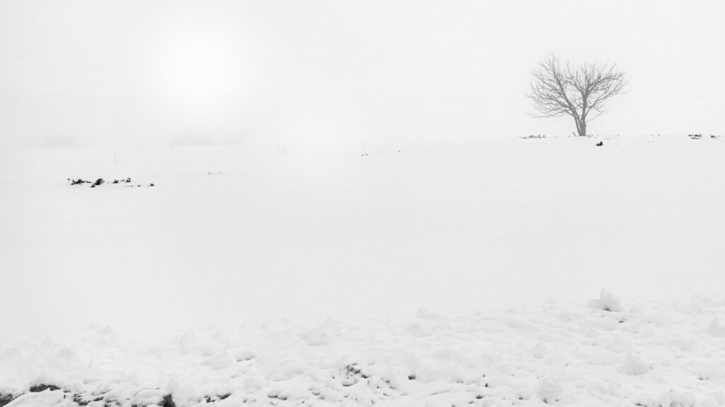 Seul dans les froidures de l'hiver.