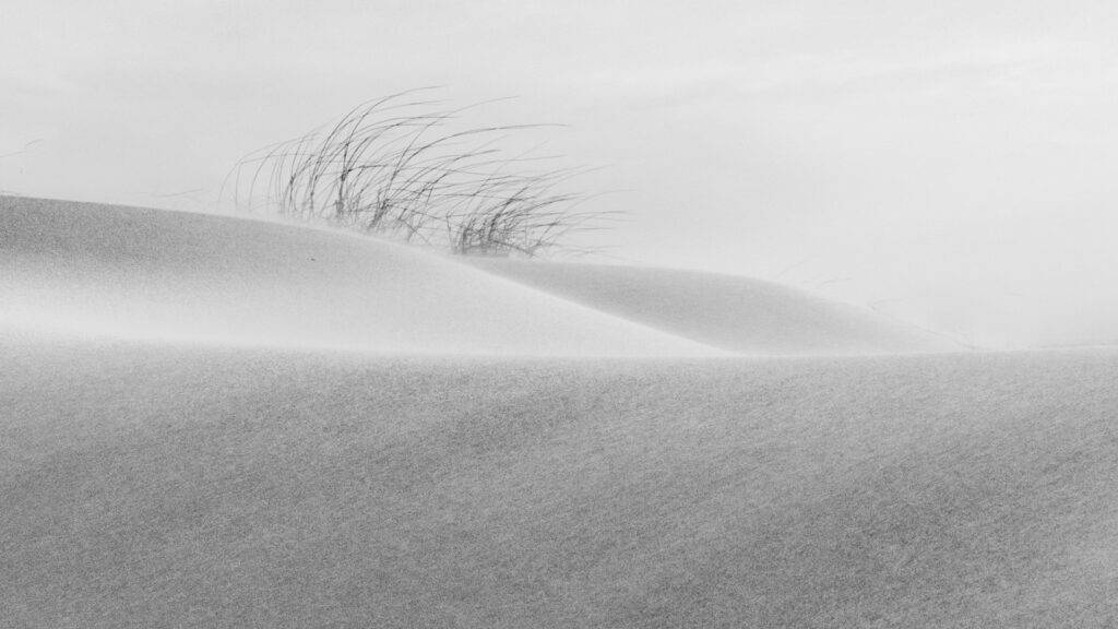 Courbes de dunes