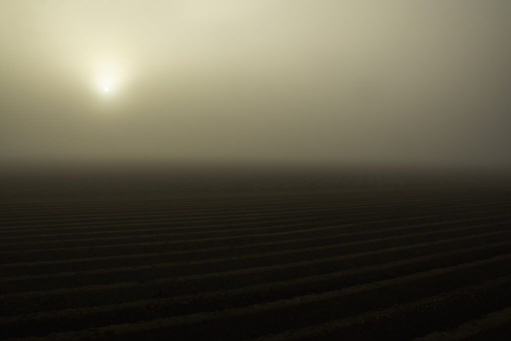 Le silence de la brume