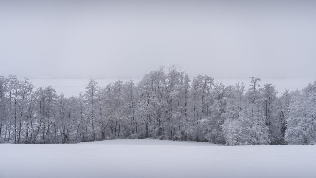 Un hiver à Solières