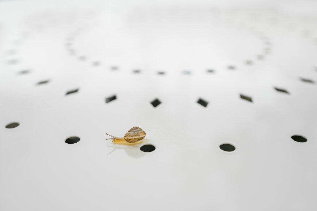Horloge naturelle
