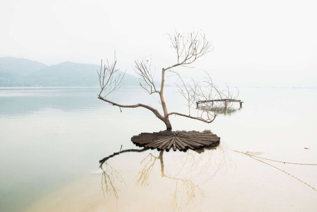 Solitude