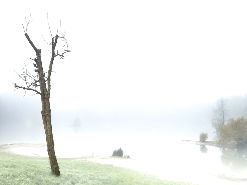 Lac bleu à Léognan (Gironde)