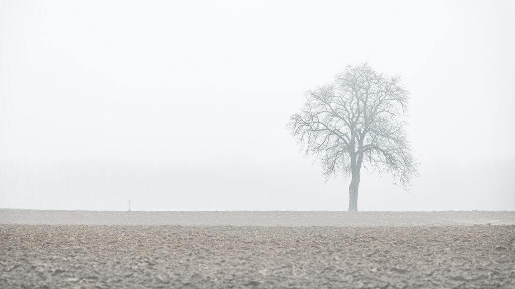 Solitude.