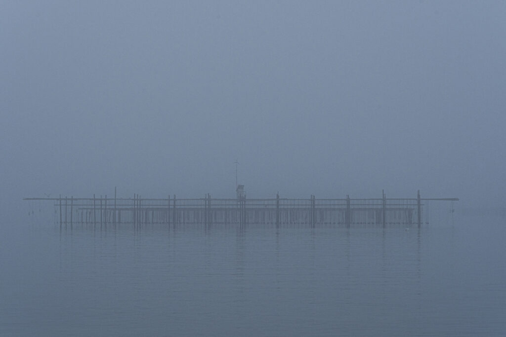 Parcs à huîtres dans la brume