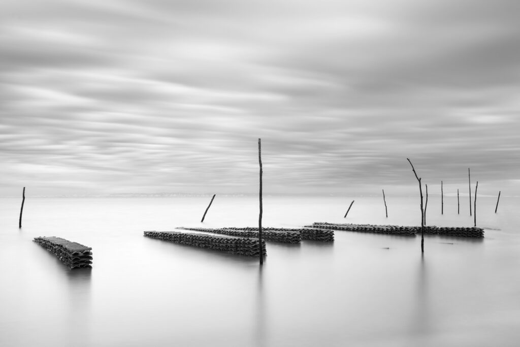 La t'huile