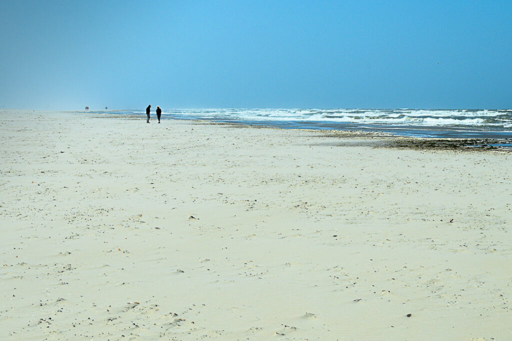 Terschelling