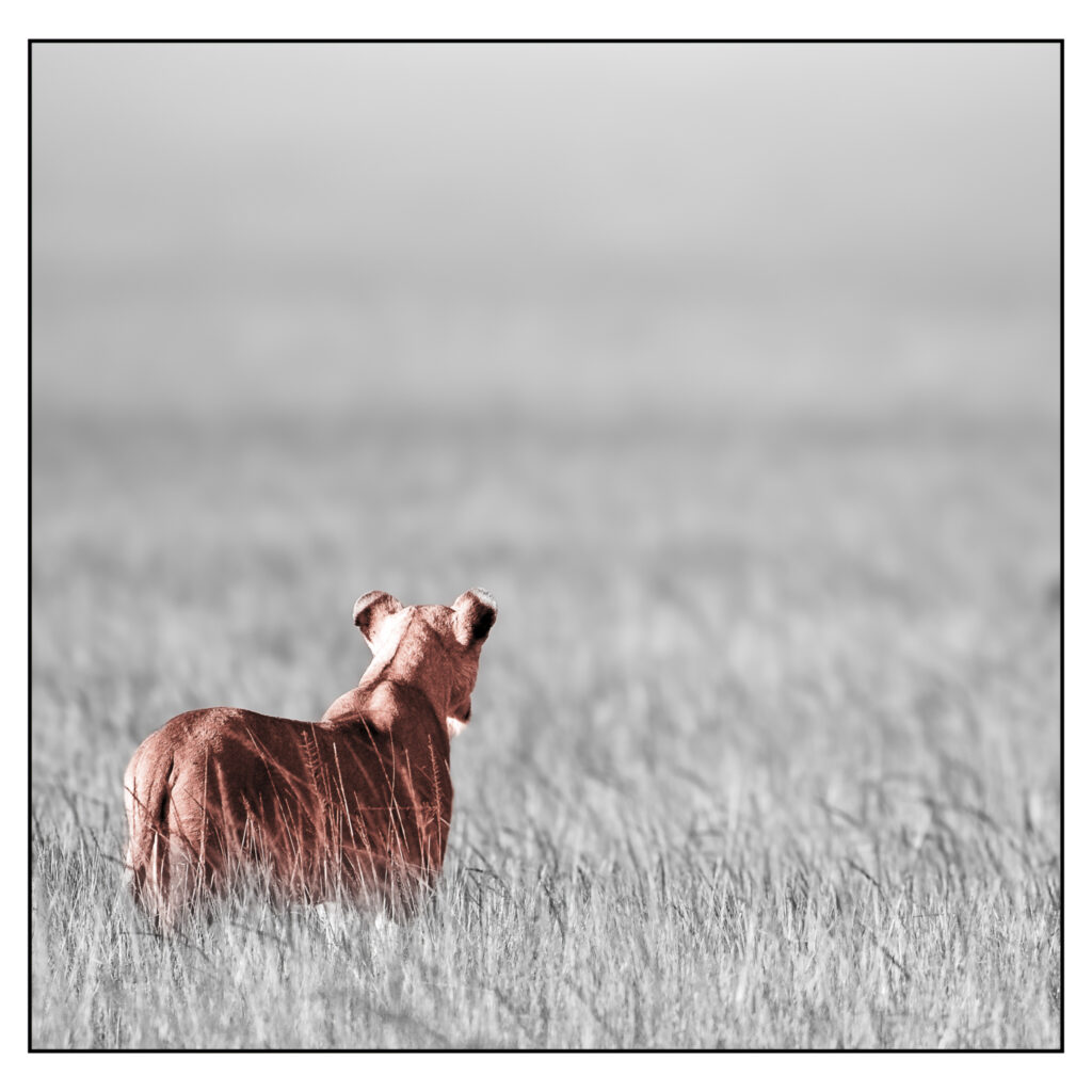 au-delà du regard