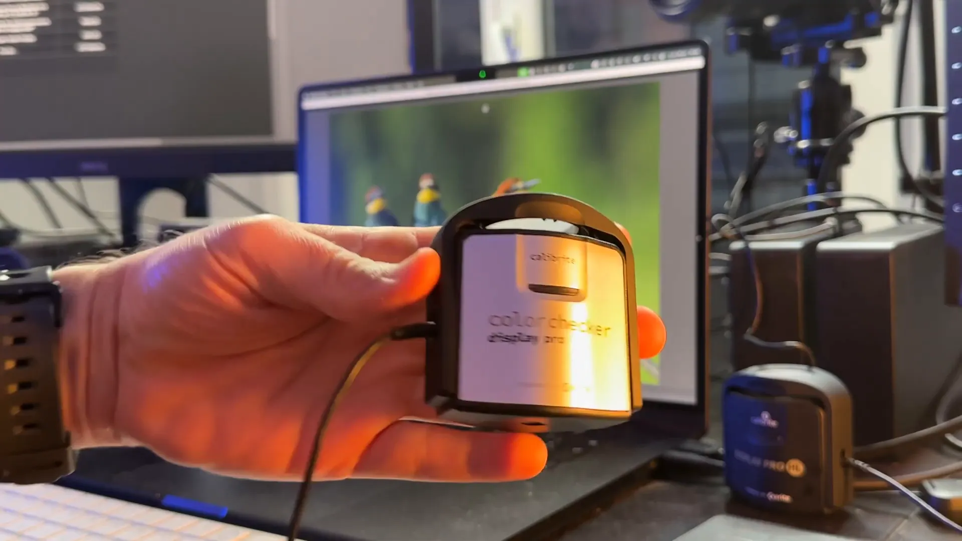 Sonde Calibrite ColorChecker Display Pro tenue devant un écran d'ordinateur