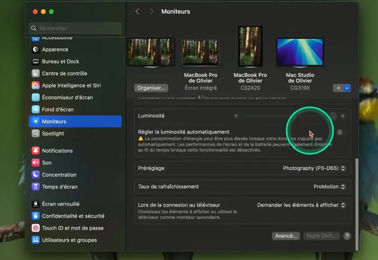 Capture d'écran des réglages système macOS avec préréglage Photography (P3-D65)