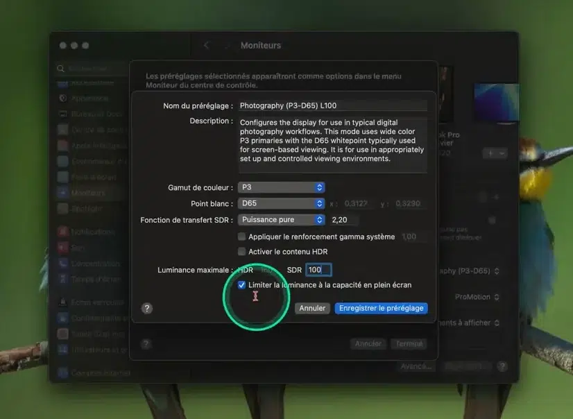 Fenêtre de création de préréglage dans macOS avec configuration SDR à 100 cd/m²