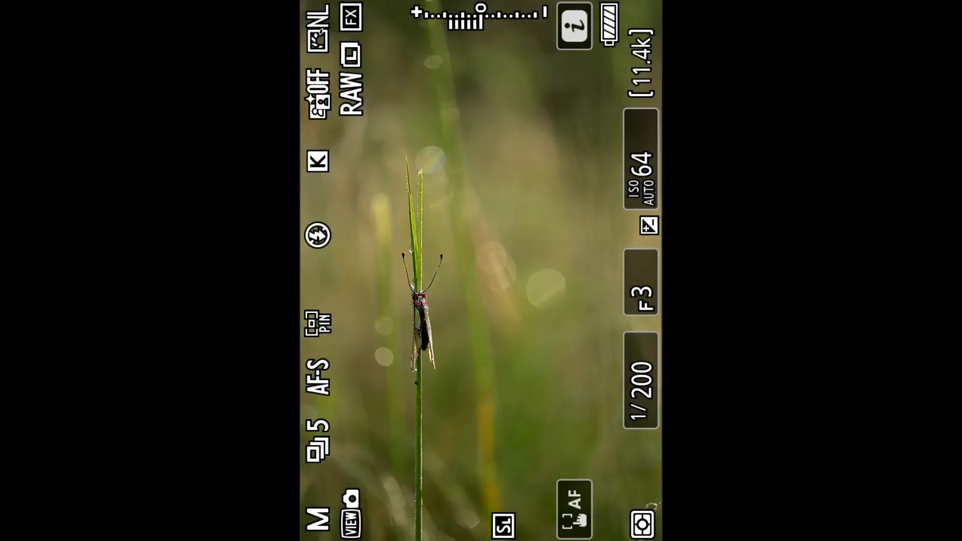 Capture écran de mise au point avec profondeur de champ en arrière-plan