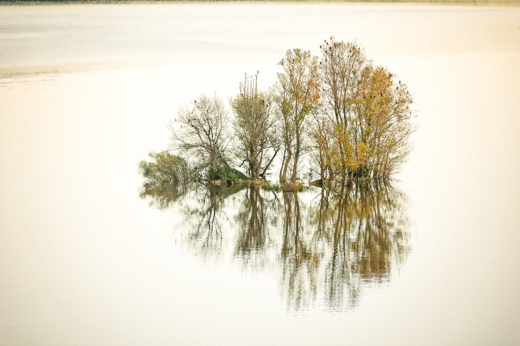 Min'île
