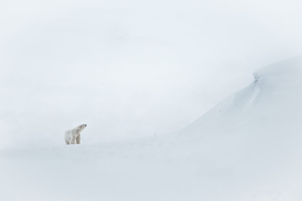 Solitude boréale