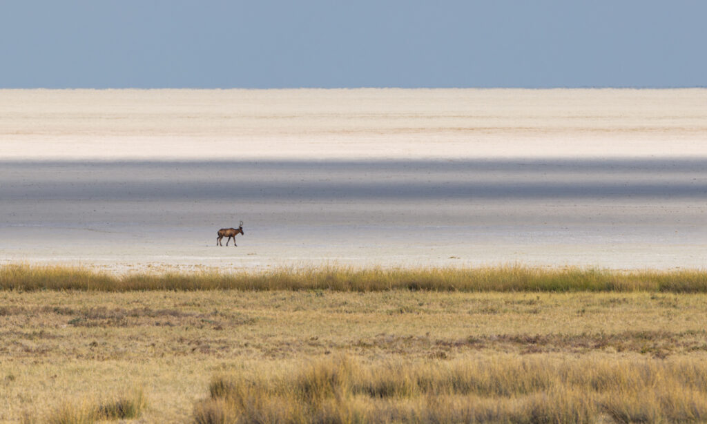Etosha Pan