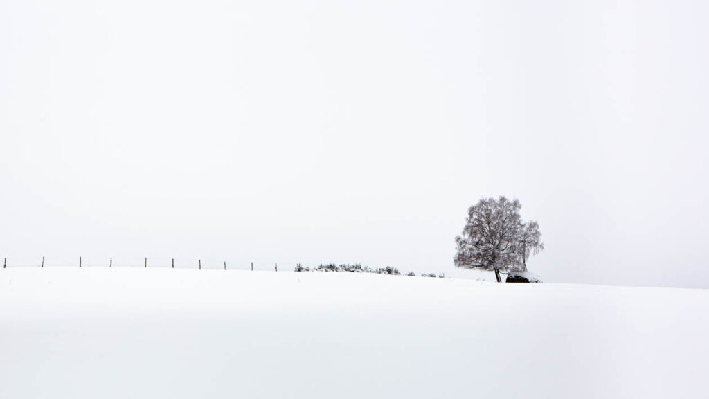 Matin d'hivers