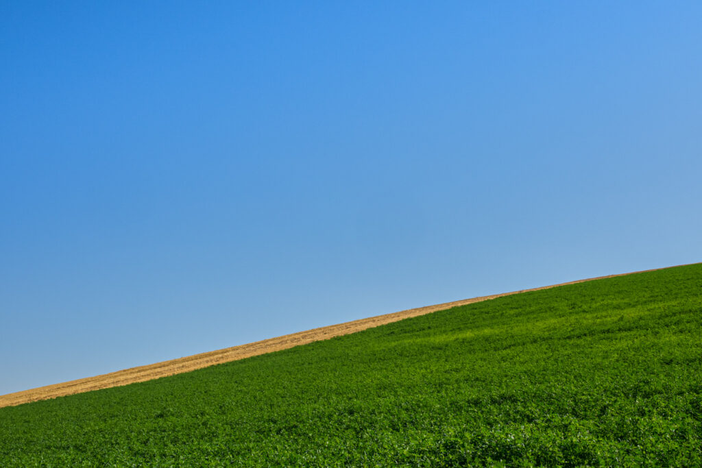bleu + jaune = vert