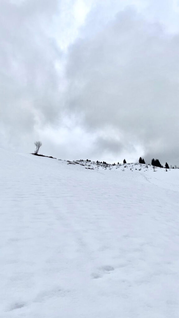 Neige
