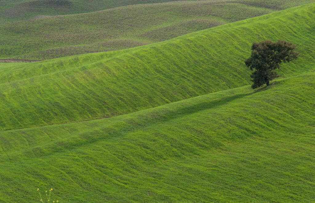Toscane en vert