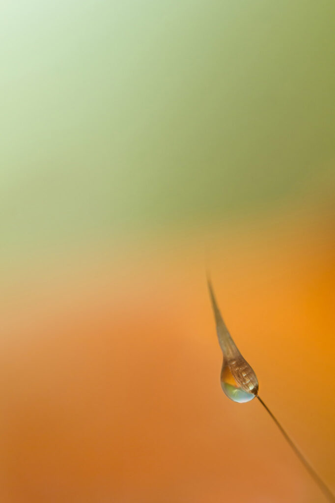 Fragile
