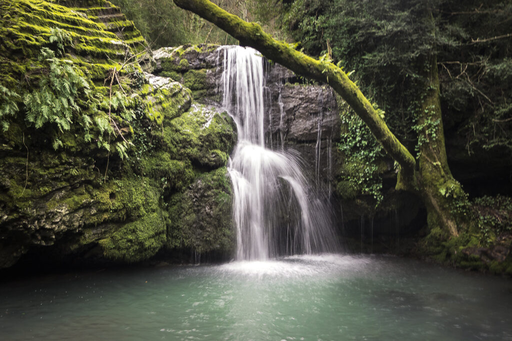 ruisseau de gournier (ardèche, alissas)