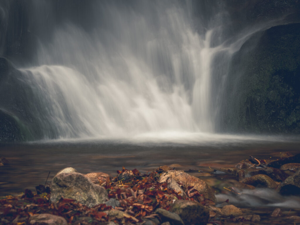 Le temps d'une pause