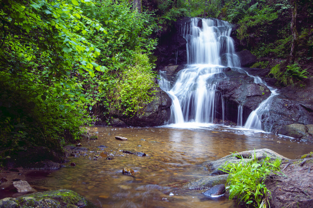 coin de paradis en auvergne