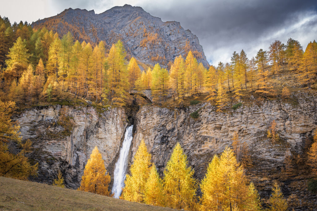 L'eau et le feu des mélèzes