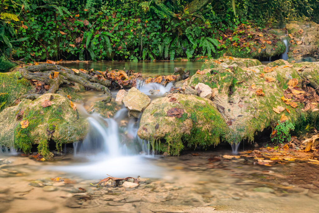 Roquefort la cascade