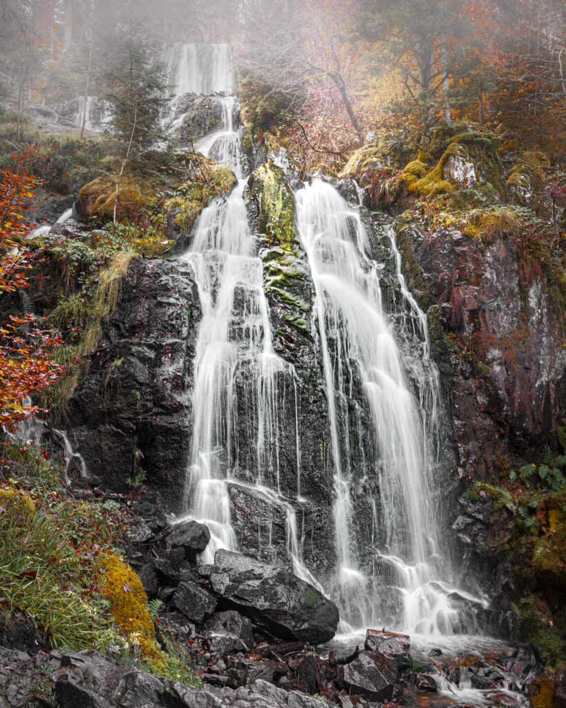 Eclats d'Automne à Tendon