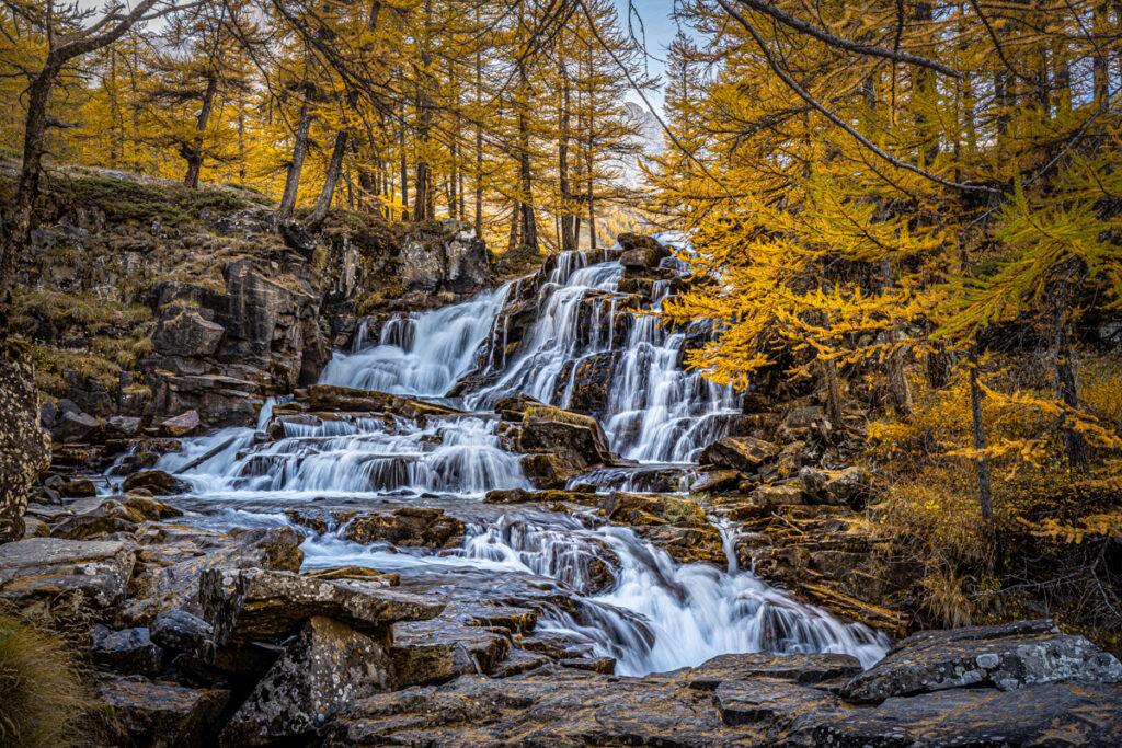 Sous les aiguilles, l'eau danse