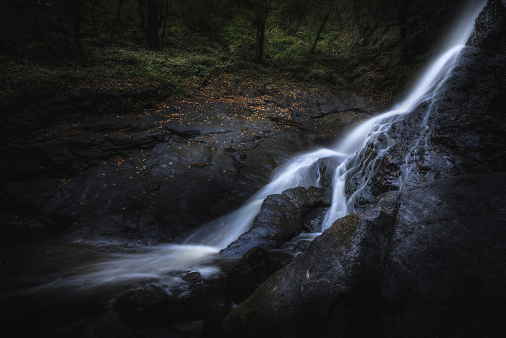 Le sanctuaire des murmures