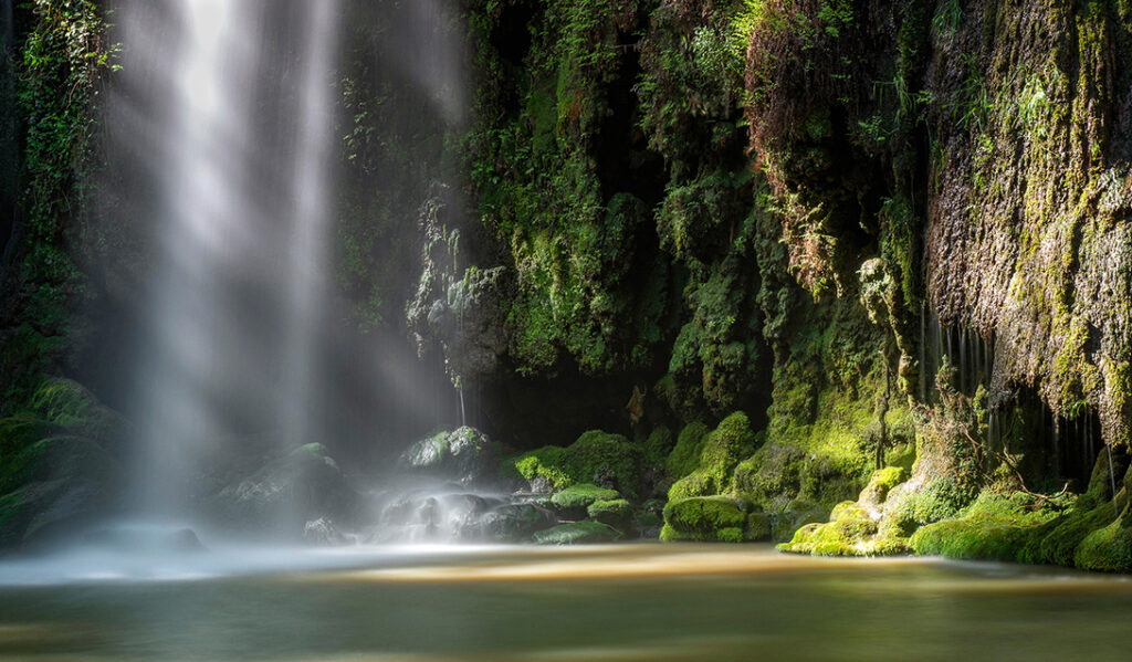 Murmures d'eau et de mousse