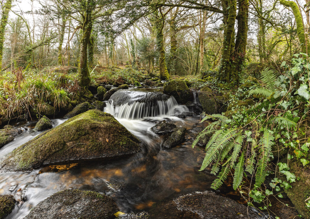 rivière de Bretagne, sud Finistère.