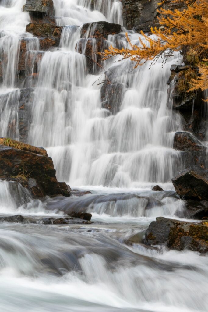 Collection Automne-Hiver