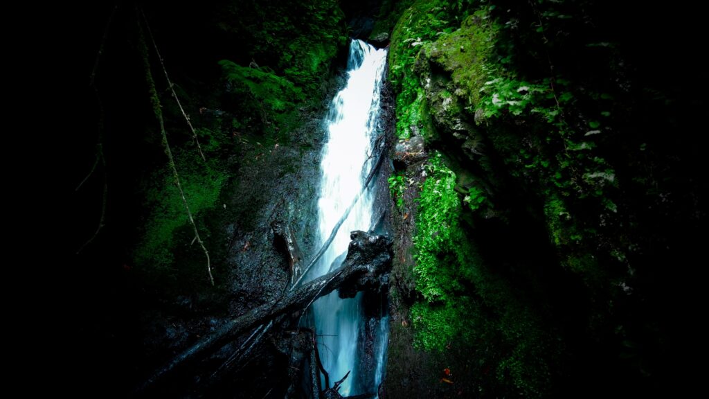 Cascade PR16 - Madère