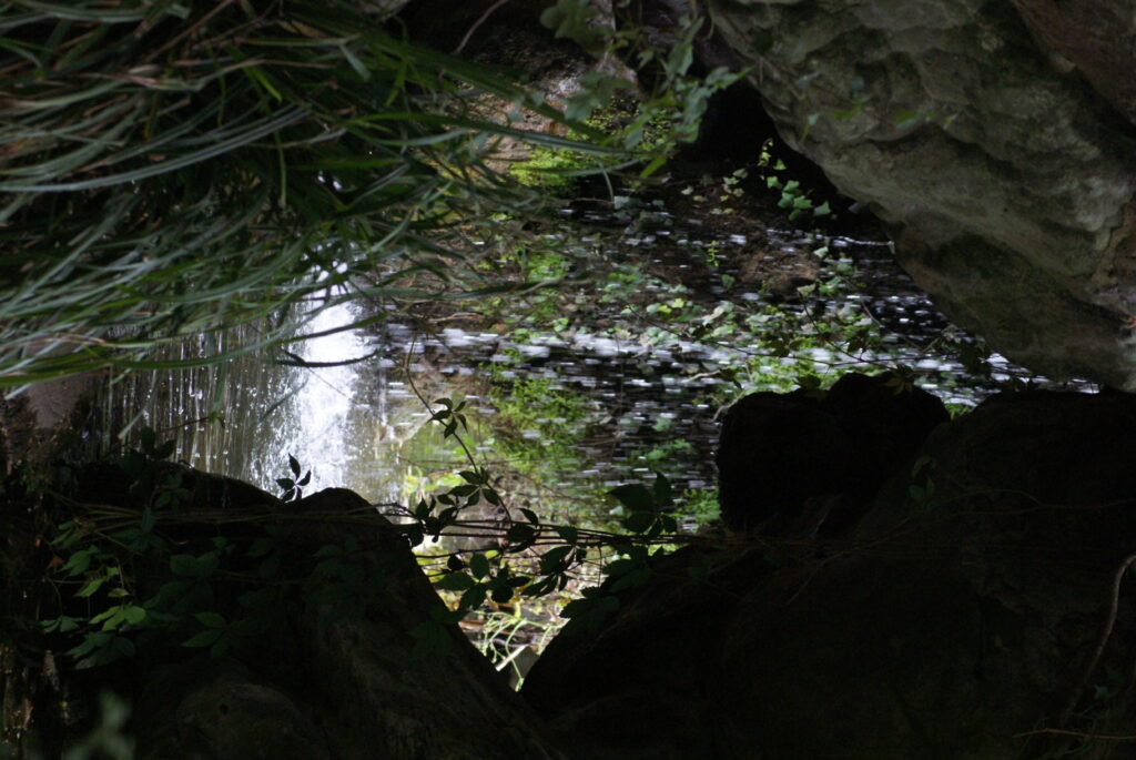 Jardin botanique - Parc de Bagatelle - Bois de Boulogne