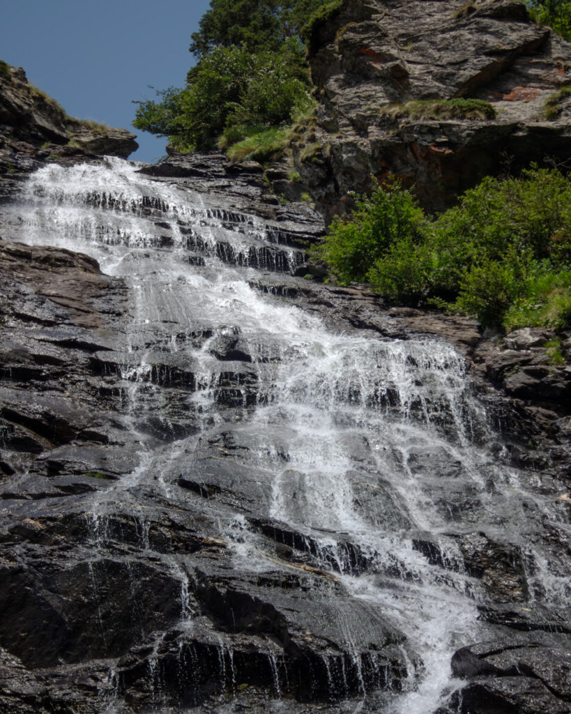 Cascade Capra Transfagarasan Roumanie