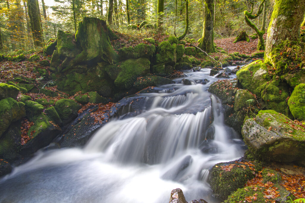 Filé d'eau sous une lumière automnale