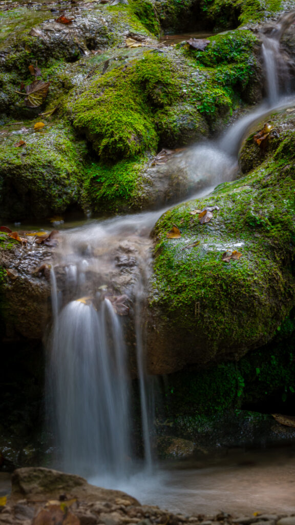 Petite magie jurassienne