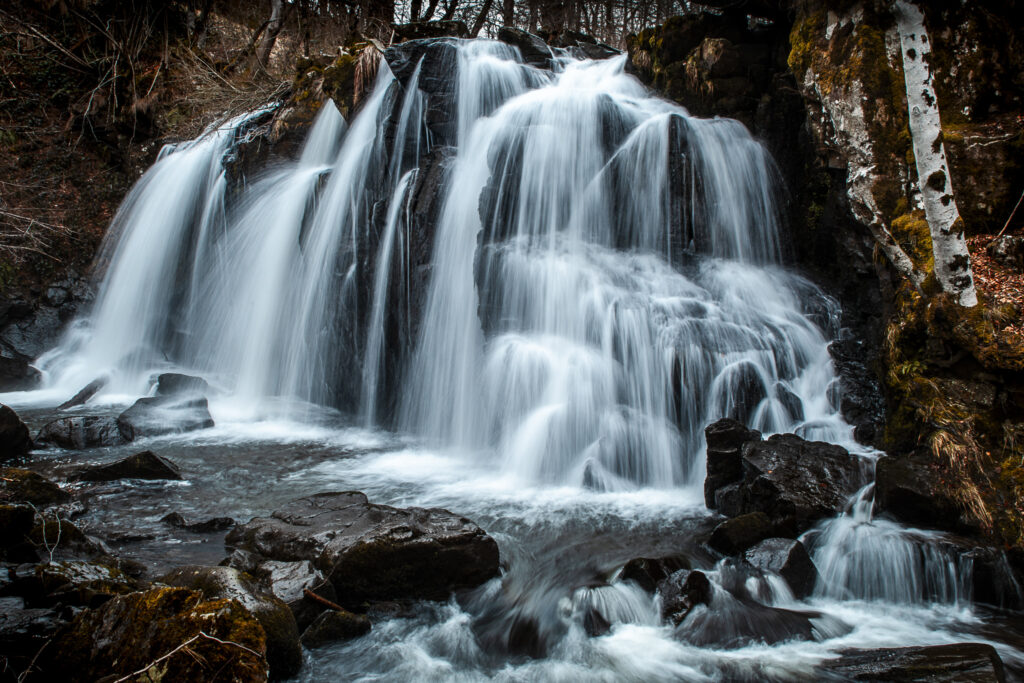 Sur le plateau d'Aubrac