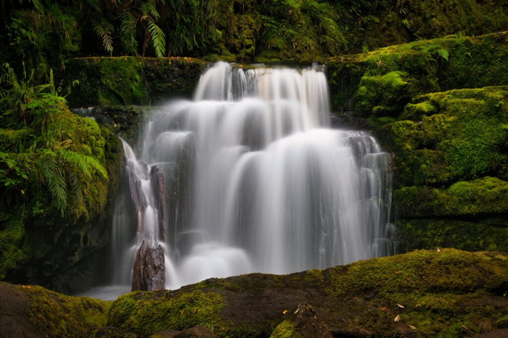 Beautiful New Zealand