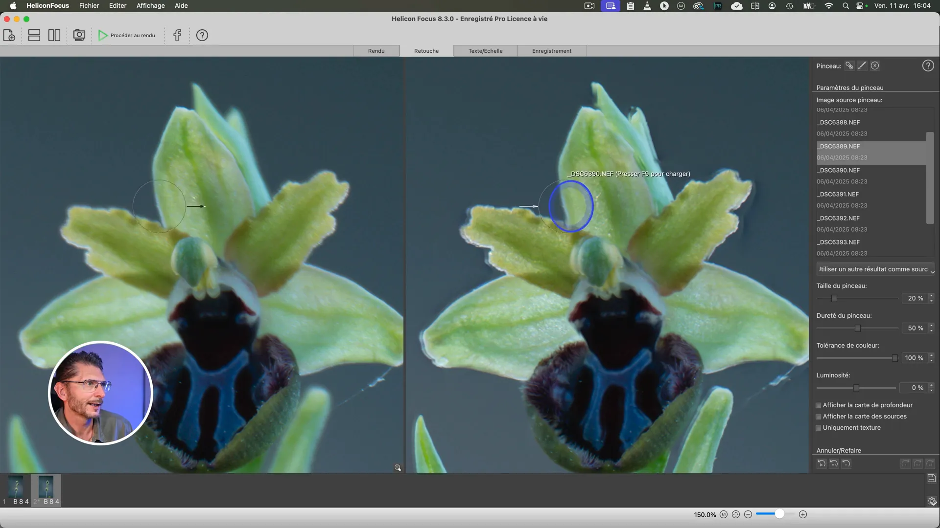 Utilisation du pinceau de correction dans Helicon Focus