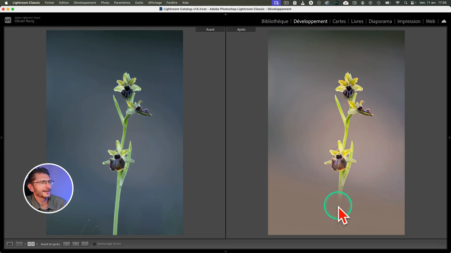 Comparaison avant/après du focus stacking dans Lightroom