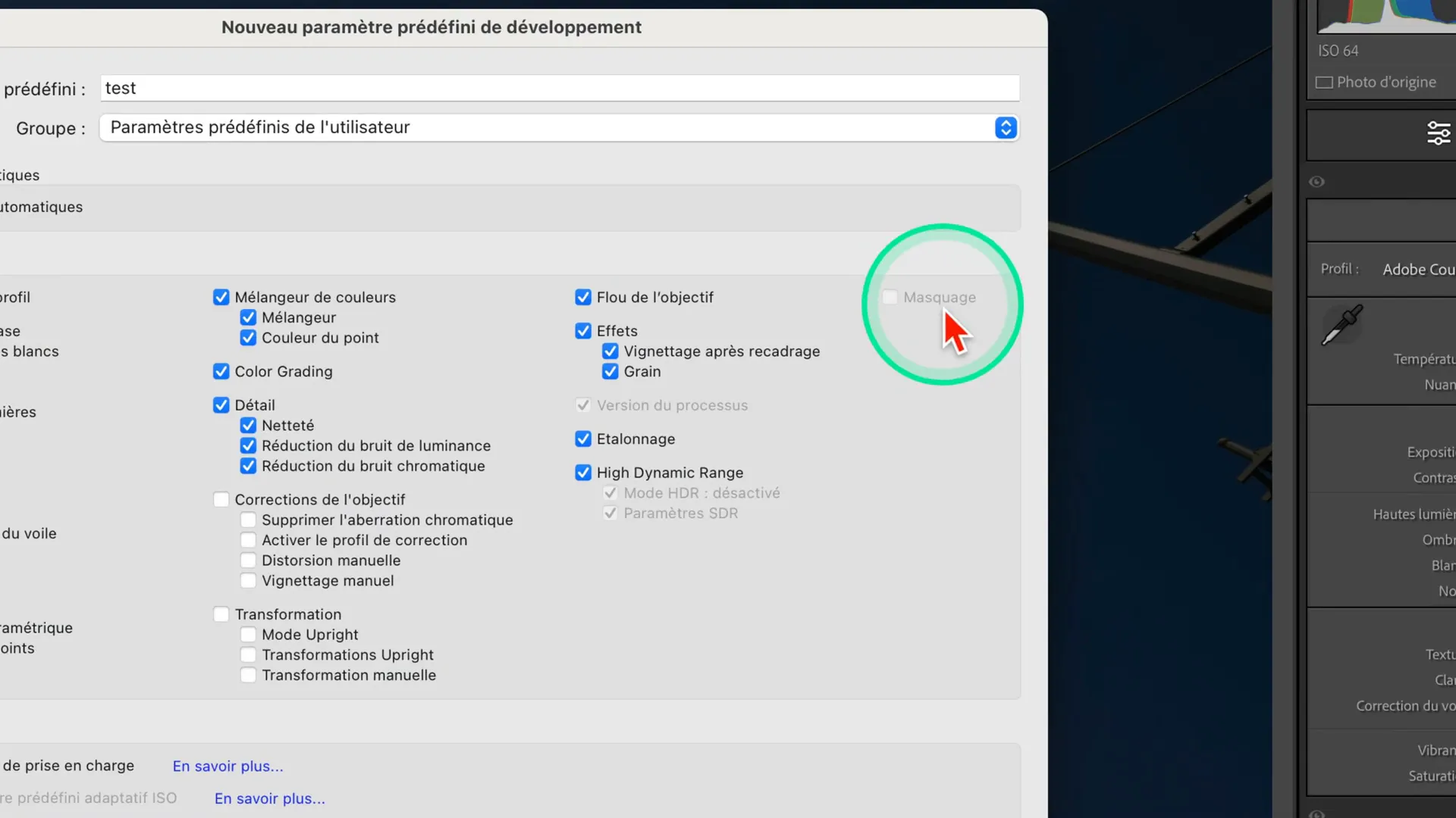 Case 'Masquage' grisée lors de la création d’un preset