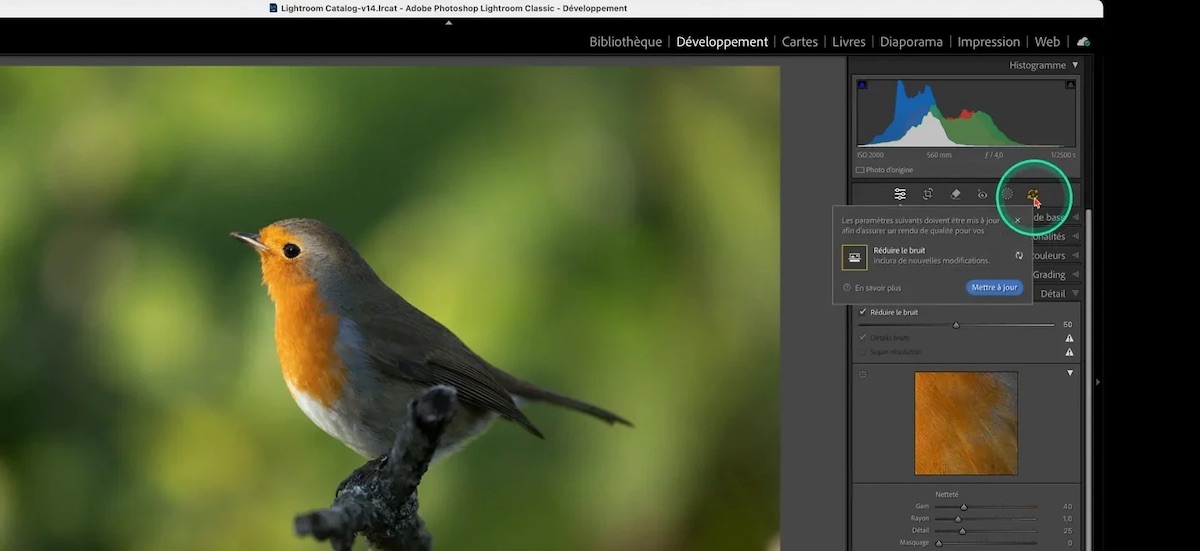 Mise à jour des paramètres IA dans Lightroom Classic
