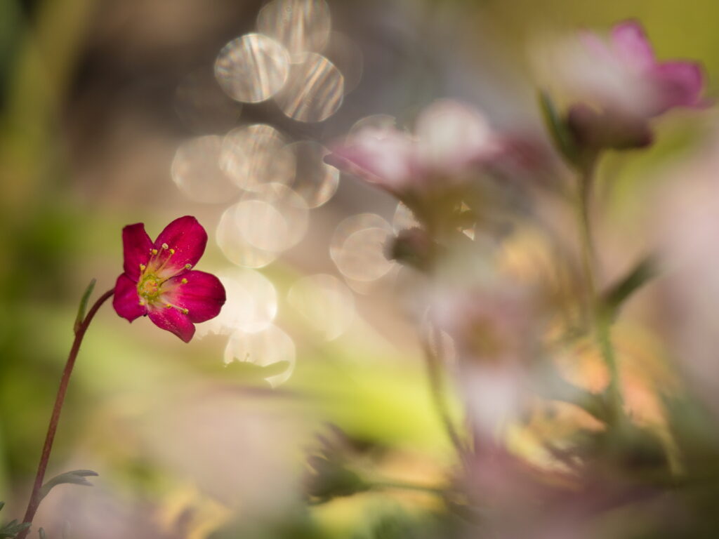 Ombre, couleurs et lumière